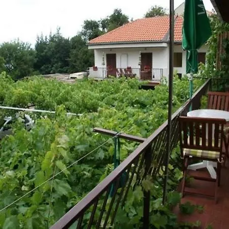 Tonci In 6255 Mlini