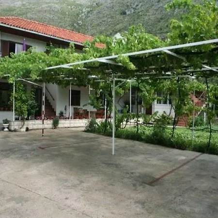 Tonci In 6255